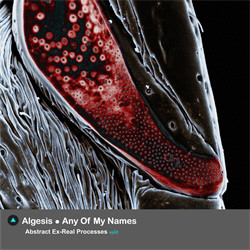 Algesis / Any Of My Names - Abstract Ex-Real Processes (Split) (2010)