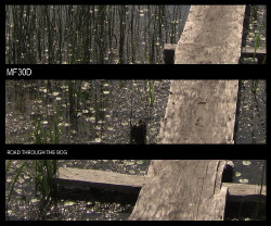 Mf30d - Road Through The Bog (2010)