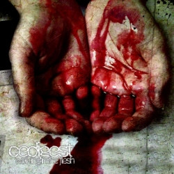 CeDigest - Walking In The Flesh (2010)