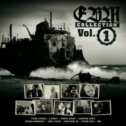 VA - EBM Collection Vol.1 (Limited Edition Vinyl) (2009)