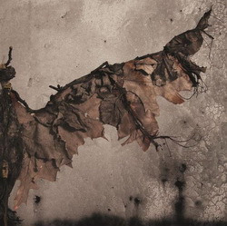Luasa Raelon - Vampyr: Light Of The Beast (2010)