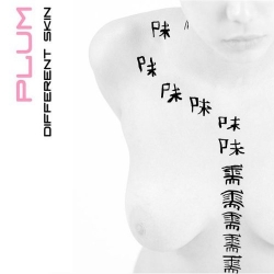 Plum - Different Skin (2009)