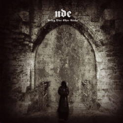 NDE - Krieg Blut Ehre Asche (2009)