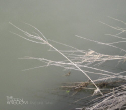 The Green Kingdom - Twig and Twine (2009)
