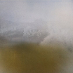 Richard Skelton - Landings (2010)