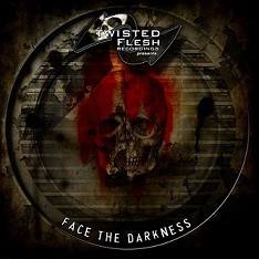 VA - Face The Darkness (2011)