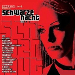 VA - Schwarze Nacht Vol.4 (Limited Edition) (2010)