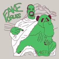 Fake Drugs - Drake Fugs (2010)