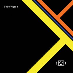 OMD - If You Want It (CDM) (2010) +Remixes
