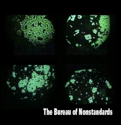 The Bureau Of Nonstandards - The Bureau Of Nonstandards (2008)