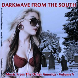VA - Darkwave From The South: Music From The Other America Volume V (2011)