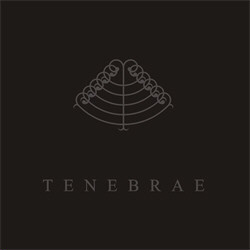 Majdanek Waltz / Sal Solaris - Tenebrae (2011)