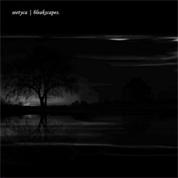 Seetyca - Bleakscapes (2011)