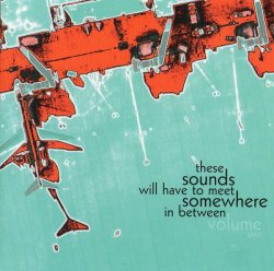 VA - These Sounds Will Have To Meet Somewhere In Between Volume One (2011)