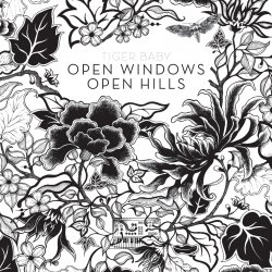 Tiger Baby - Open Windows Open Hills (2011)