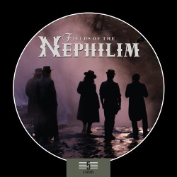 Fields Of The Nephilim - 5 Albums (5CD) (2013)