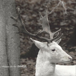 Hidden By Ivy - Inner (2019)