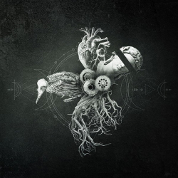 Your Life On Hold - Echoes from the Bardo (2020)