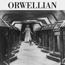 The Todds - Orwellian (EP) (2022)