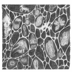 Optic Nerve - Angel Numbers (2023)