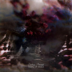 Temple of Angels - Endless Pursuit (2023)