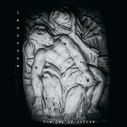 Iamnoone - The Joy of Sorrow (2024)