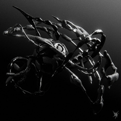 VA - Mors Atra (2024)