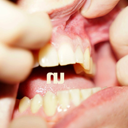 Null Split - Bite My Tongue (Single) (2024)