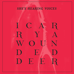 She's Hearing Voices - I Carry a Wounded Deer (2024)