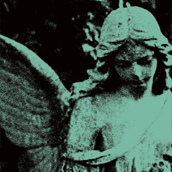 Vioflesh - Always (Single) (2024)