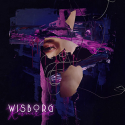 Wisborg - Im freien Fall (Gothminister Remix) (2024)