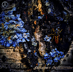 AkMD - Sensory Perception (2025)