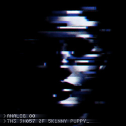 Analog 80 - The Ghost Of Skinny Puppy (Single) (2025)