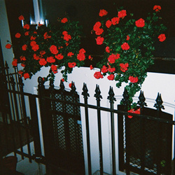Blood Club - Sufres Porque Quieres (EP) (2025)