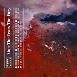 Closed Mouth - After The Tears The Fury (2025)