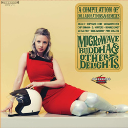 David Javelosa - Microwave Buddha & Other Delights (2025)