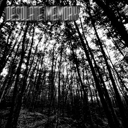 Desolate Memory - Devoid of Life (EP) (2025)