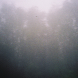 Federica Deiana - Fragments (EP) (2025)