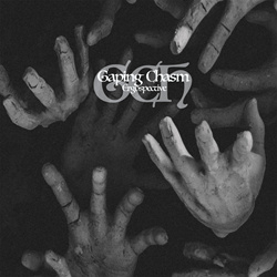 Gaping Chasm - Ergospective (2025)