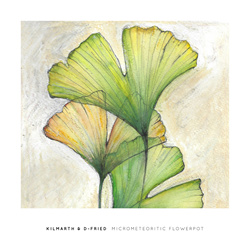 Kilmarth & D-Fried - Micrometeoritic Flowerpot (2025)