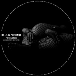 VA - MORANA.Putrefaction (2025)