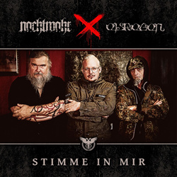 Nachtmahr & Eisregen - Stimme in mir (Antisozial ICD-10 F60.2) (Single) (2025)