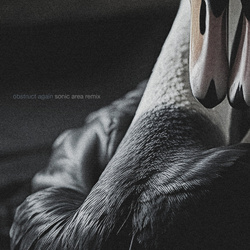 Noire Antidote - Obstruct Again (Sonic Area Remix) (2025)