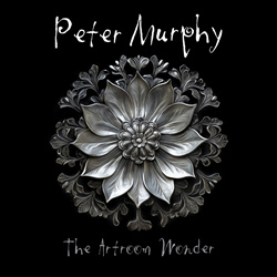 Peter Murphy - The Artroom Wonder (Single) (2025)