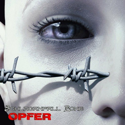Schlaganfall Zone - Opfer (Single) (2025)