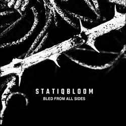Statiqbloom - Bled From All Sides (2025)