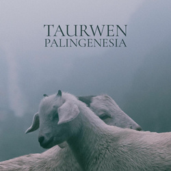 Taurwen - Palingenesia (2025)