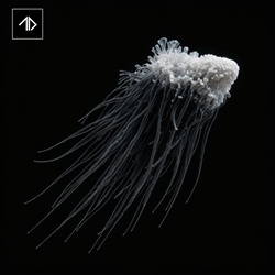 The New Division - Spiral Descent (Single) (2025)