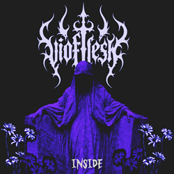 Vioflesh - Inside (Single) (2025)