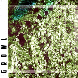 Who Saw Her Die? - Growl (EP) (2025)